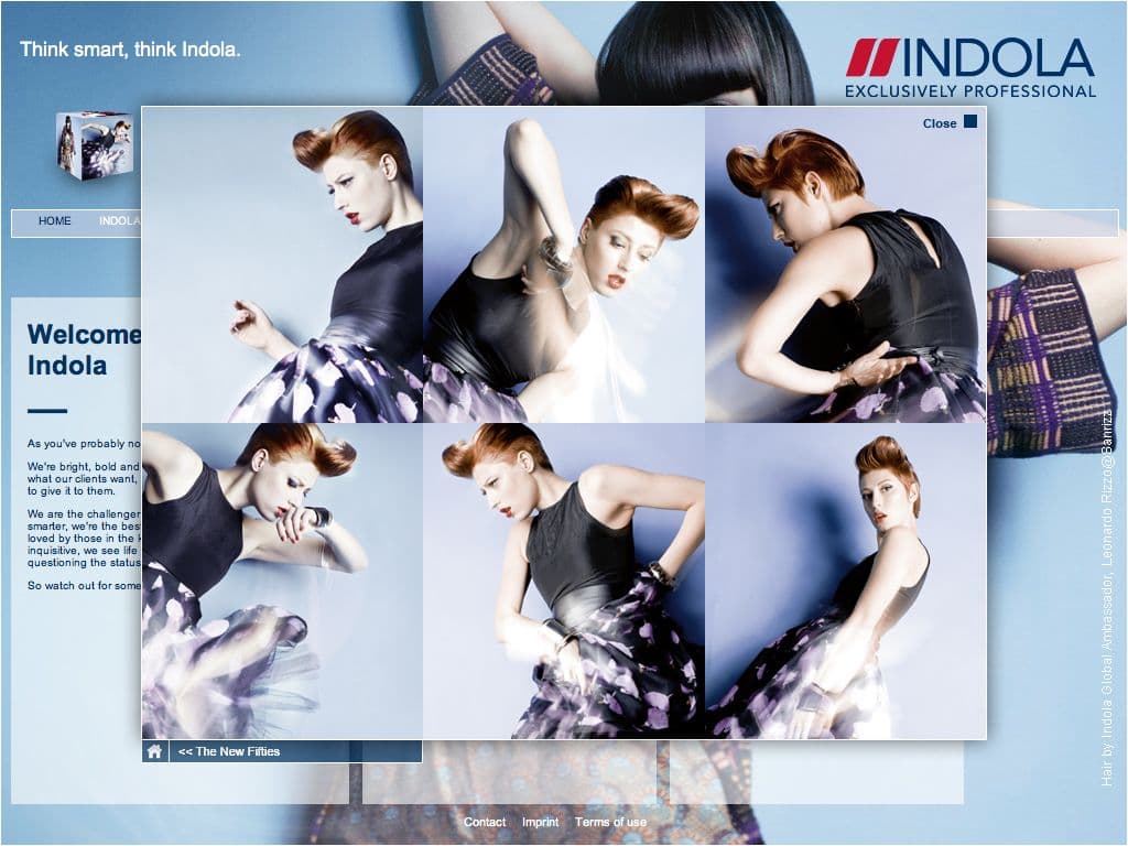 SCHWARZKOPF PROFESSIONAL INDOLA – Bild 3